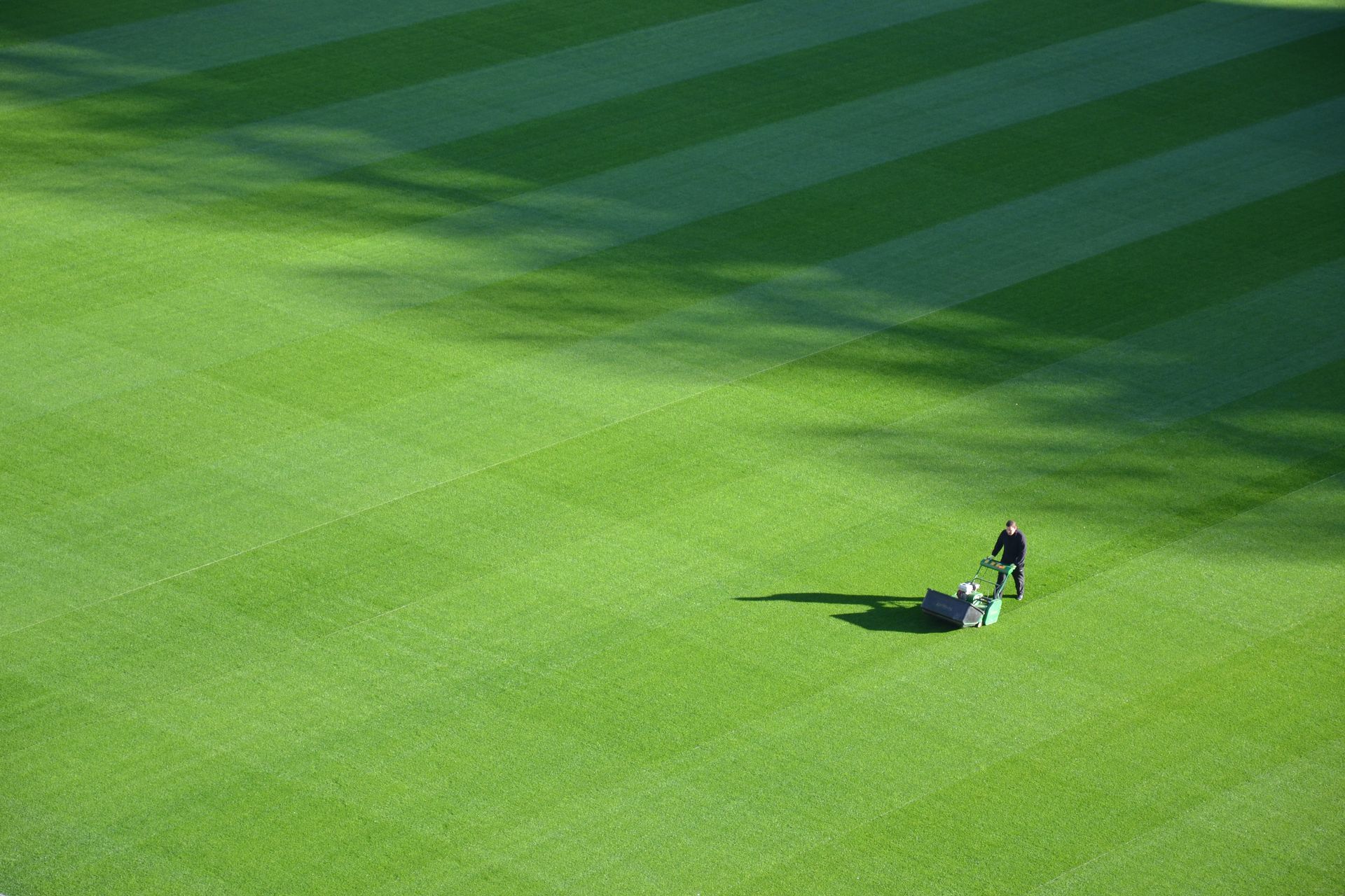 Large Lawn