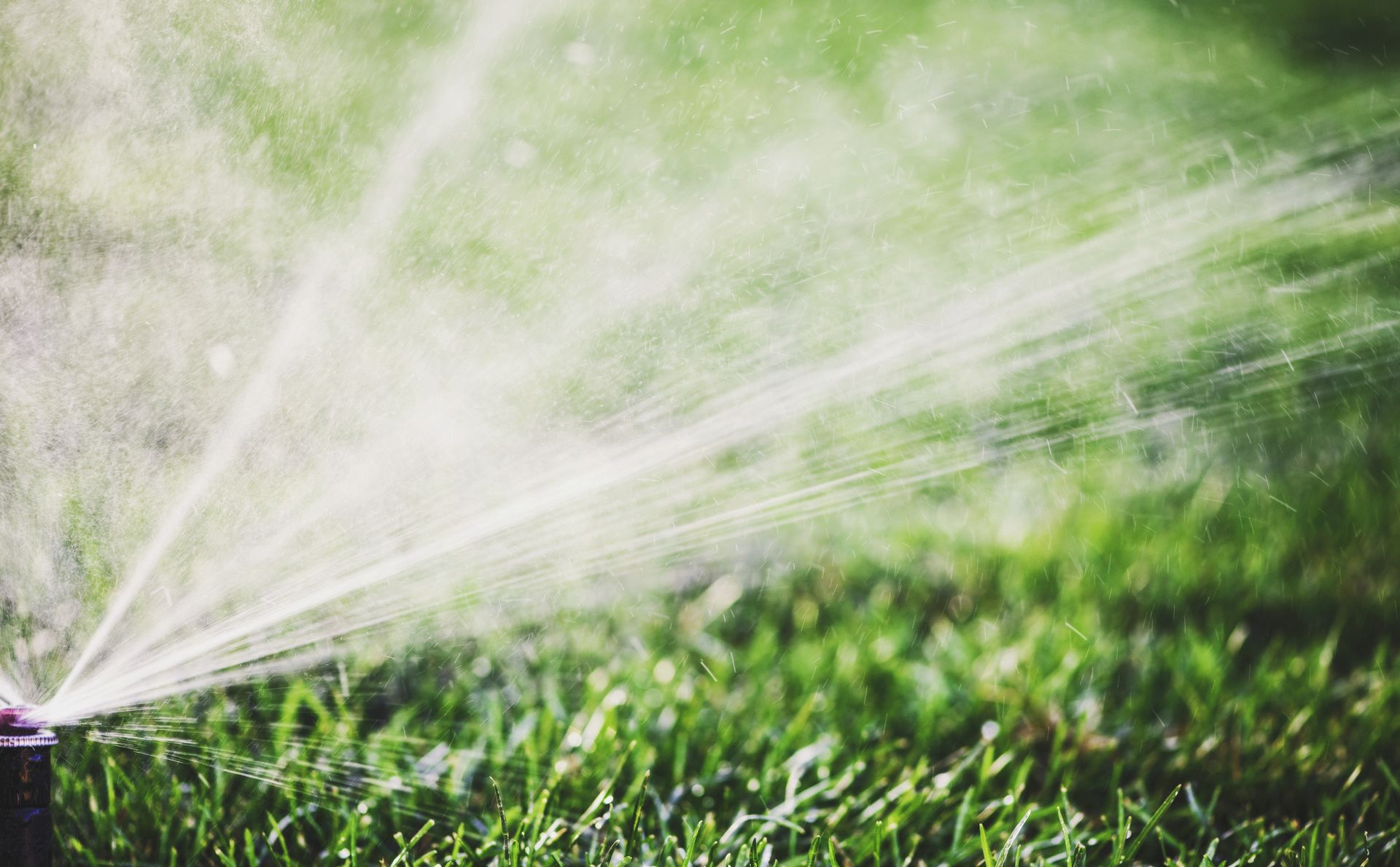 Water Sprinkler